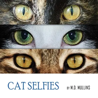 Selfies gatunos - Cat Selfies