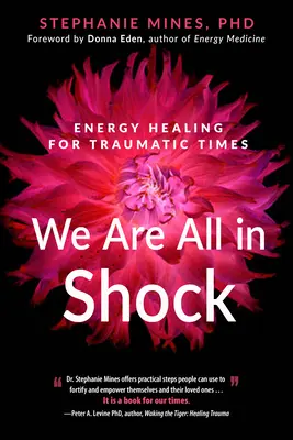 El secreto de la resiliencia: curación de traumas personales y planetarios a través de la morfogénesis - We Are All in Shock: Energy Healing for Traumatic Times