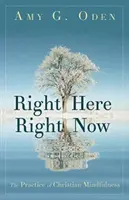 Right Here Right Now: La práctica de la atención plena cristiana - Right Here Right Now: The Practice of Christian Mindfulness
