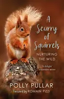 Scurry of Squirrels - Nutrir lo salvaje - Scurry of Squirrels - Nurturing The Wild