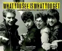 Lo que ves es lo que hay: Stiff Little Fingers 1977-1983 - What You See Is What You Get: Stiff Little Fingers 1977-1983