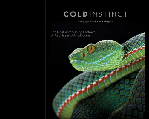 Matthijs Kuijpers Cold Instinct - Matthijs Kuijpers: Cold Instinct