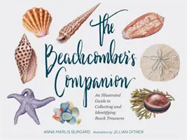 The Beachcomber's Companion: Una guía ilustrada para coleccionar e identificar los tesoros de la playa (Libro de acuarela para coleccionar conchas marinas y caracolas, Bea - The Beachcomber's Companion: An Illustrated Guide to Collecting and Identifying Beach Treasures (Watercolor Seashell and Shell Collecting Book, Bea