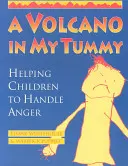 Un volcán en mi barriga: Cómo ayudar a los niños a controlar la ira - A Volcano in My Tummy: Helping Children to Handle Anger