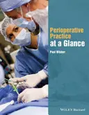 Un vistazo a la práctica perioperatoria - Perioperative Practice at a Glance