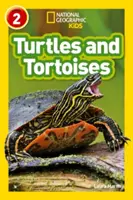 Tortugas - Nivel 2 - Turtles and Tortoises - Level 2