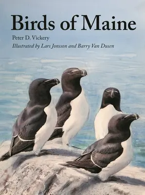 Aves de Maine - Birds of Maine