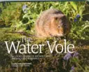 El topillo acuático: la historia de uno de los mamíferos británicos más amenazados - Water Vole - The Story of One of Britain's Most Endangered Mammals