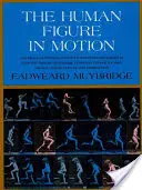 La figura humana en movimiento - The Human Figure in Motion