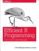 Efficient R Programming: Guía práctica para una programación más inteligente - Efficient R Programming: A Practical Guide to Smarter Programming