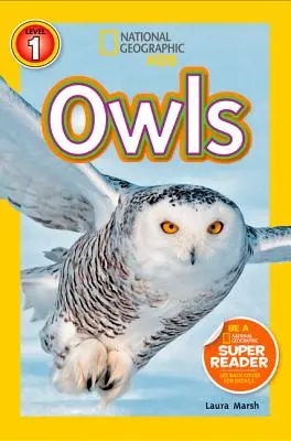 Búhos - Owls