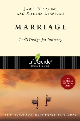 El matrimonio: El diseño de Dios para la intimidad - Marriage: God's Design for Intimacy
