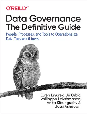 Gobierno de datos: La guía definitiva: Personas, procesos y herramientas para hacer operativa la fiabilidad de los datos - Data Governance: The Definitive Guide: People, Processes, and Tools to Operationalize Data Trustworthiness