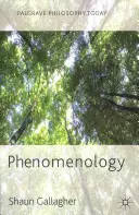 Fenomenología - Phenomenology