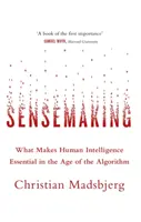 Sensemaking: qué hace que la inteligencia humana sea esencial en la era de los algoritmos - Sensemaking - What Makes Human Intelligence Essential in the Age of the Algorithm