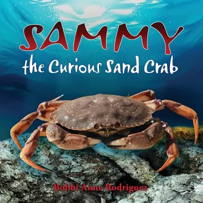 Sammy, el cangrejo de arena curioso - Sammy the Curious Sand Crab