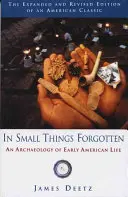 En pequeñas cosas olvidadas: Una arqueología de la vida americana primitiva - In Small Things Forgotten: An Archaeology of Early American Life