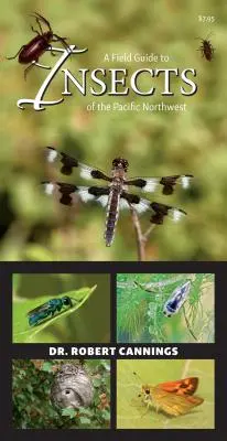 Guía de campo de los insectos del noroeste del Pacífico - A Field Guide to Insects of the Pacific Northwest