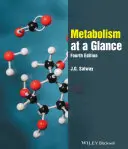 El metabolismo de un vistazo - Metabolism at a Glance