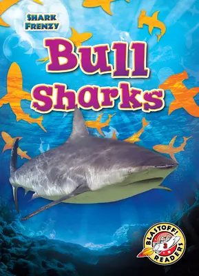 Tiburones Toro - Bull Sharks