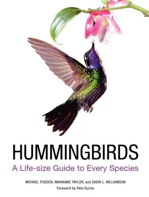 Colibríes: Guía de todas las especies a tamaño natural - Hummingbirds: A Life-Size Guide to Every Species