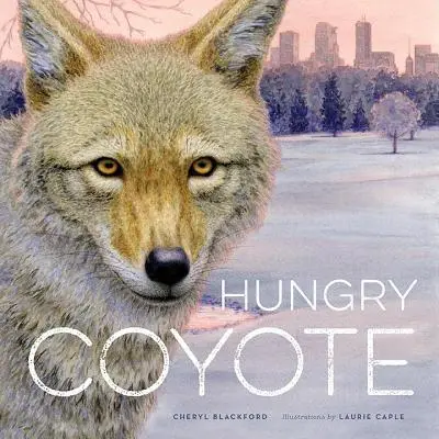 Coyote hambriento - Hungry Coyote