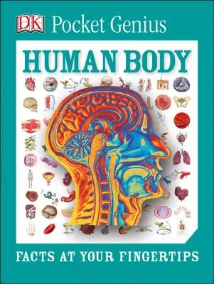 Genio de bolsillo: El cuerpo humano: Datos al alcance de tu mano - Pocket Genius: Human Body: Facts at Your Fingertips