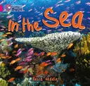 En el mar - In the Sea