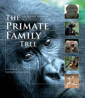 El árbol genealógico de los primates: La asombrosa diversidad de nuestros parientes más cercanos - The Primate Family Tree: The Amazing Diversity of Our Closest Relatives