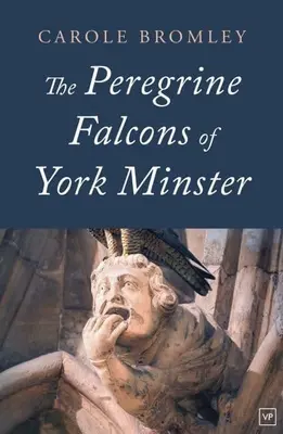 Halcones peregrinos de York Minster - Peregrine Falcons of York Minster