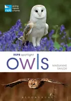 Rspb Id Spotlight Búhos - Rspb Spotlight Owls