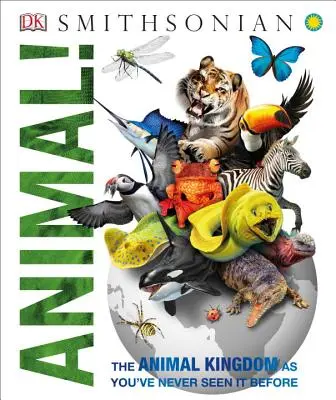 ¡Animal! El Reino Animal como nunca antes lo habías visto - Animal!: The Animal Kingdom as You've Never Seen It Before