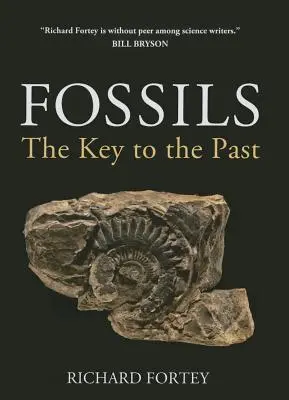 Fósiles: La clave del pasado - Fossils: The Key to the Past