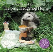 Ayudar al erizo a volver a casa - Helping Hedgehog Home