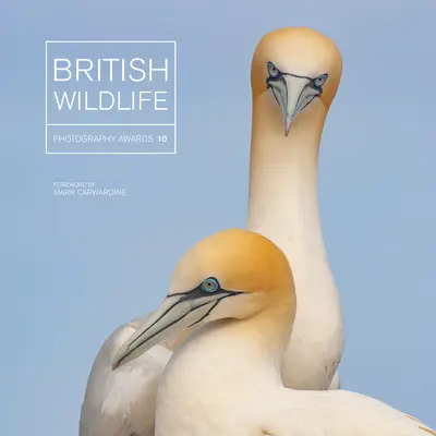 British Wildlife Photography Awards 10