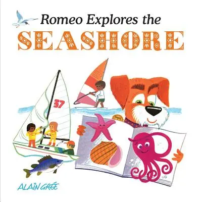 Romeo explora la orilla del mar - Romeo Explores the Seashore