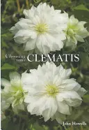 Cómo elegir su clemátide - Choosing Your Clematis