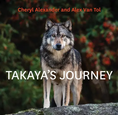 El viaje de Takaya - Takaya's Journey