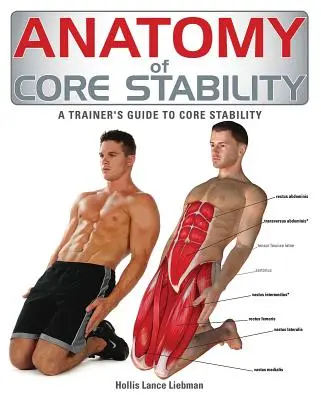 Anatomía de la estabilidad del tronco: Guía del entrenador para la estabilidad del tronco - Anatomy of Core Stability: A Trainer's Guide to Core Stability