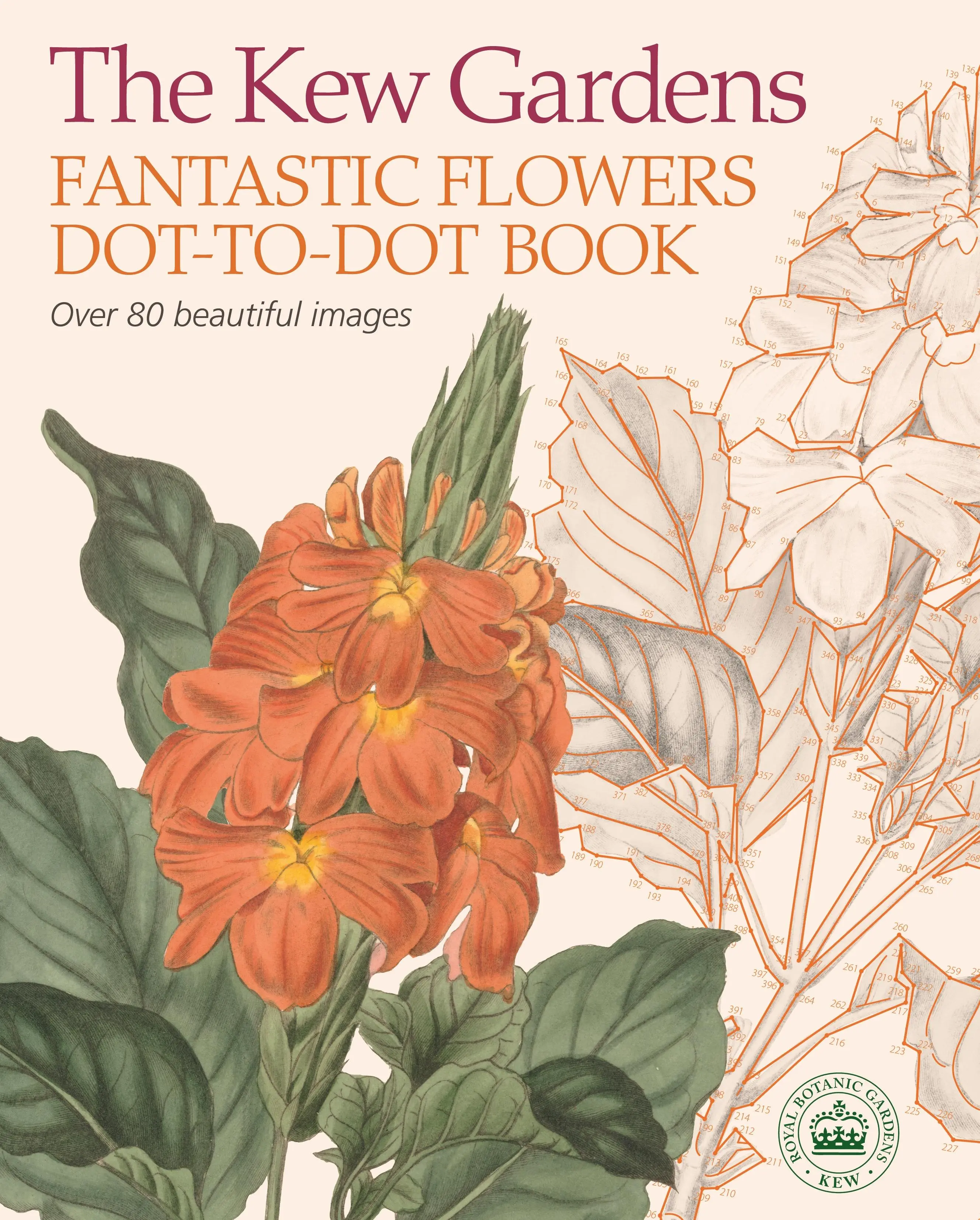 Libro de puntos sobre flores fantásticas de Kew Gardens - Kew Gardens Fantastic Flowers Dot-to-Dot Book