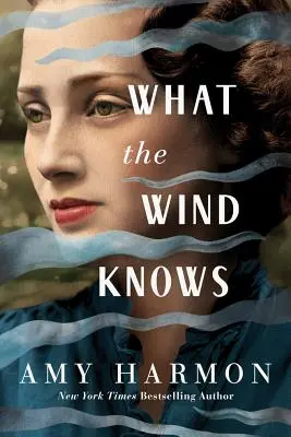 Lo que el viento sabe - What the Wind Knows