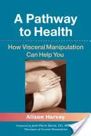 Un camino hacia la salud: Cómo puede ayudarle la manipulación visceral - A Pathway to Health: How Visceral Manipulation Can Help You