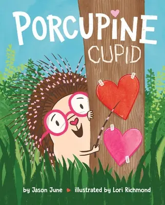 Cupido Puercoespín - Porcupine Cupid