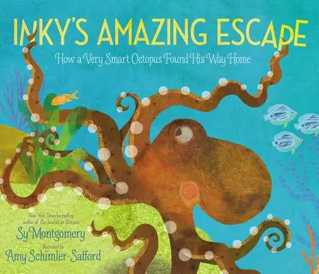 La asombrosa fuga de Inky: Cómo un pulpo muy inteligente encontró el camino a casa - Inky's Amazing Escape: How a Very Smart Octopus Found His Way Home