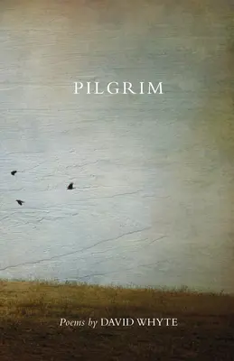 Pilgrim (Revisado) (Revisado) - Pilgrim (Revised) (Revised)