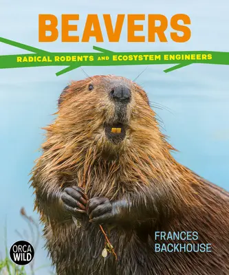 Castores: Roedores radicales e ingenieros de ecosistemas - Beavers: Radical Rodents and Ecosystem Engineers