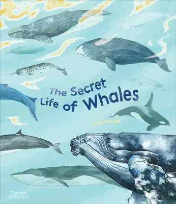 La vida secreta de las ballenas - The Secret Life of Whales