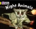 Animales nocturnos - Banda 03/Amarillo - Night Animals - Band 03/Yellow