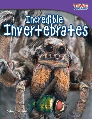 Invertebrados increíbles - Incredible Invertebrates