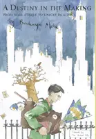 Un destino en ciernes: De Wall Street a Unicef en África - A Destiny in the Making: From Wall Street to Unicef in Africa